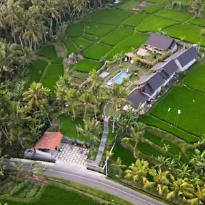 Coconut Ubud